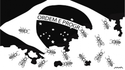 Governo fiscalizou menos de 3% dos alertas de desmatamento no país