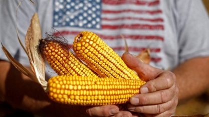 Preço alto das commodities faz produtor dos EUA conservar área menor