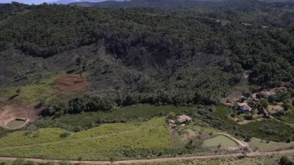 Mata atlântica tem crescimento histórico de desmatamento