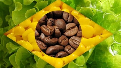 Agronegócio brasileiro merece respeito – Por Marcelo Fraga Moreira