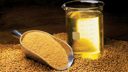 Receita com exportação de óleo de soja deverá subir 54% em 2022