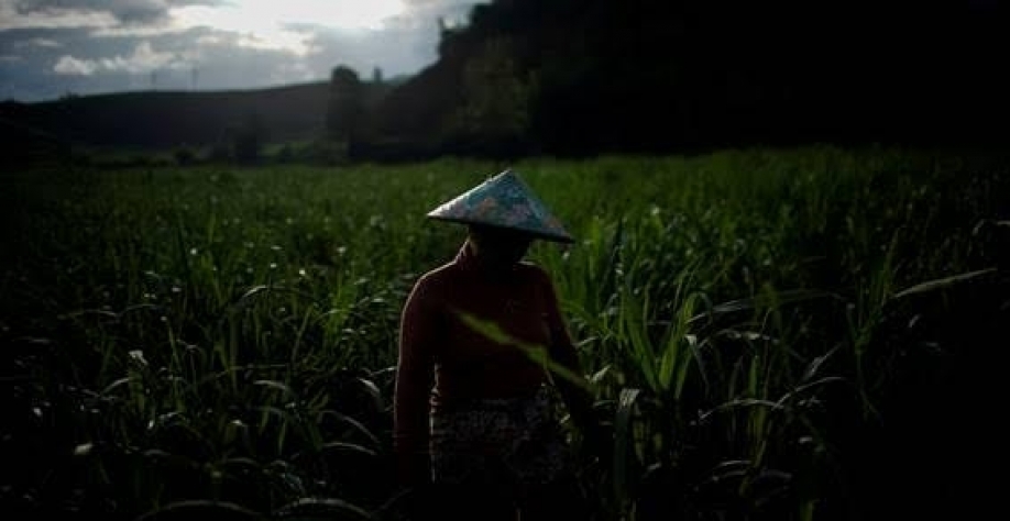 Legenda: As estimativas de produção, comércio e consumo para 2021/22 foram todas revisadas para baixo, em meio a efeitos da pandemia (Imagem: REUTERS/Aly Song)