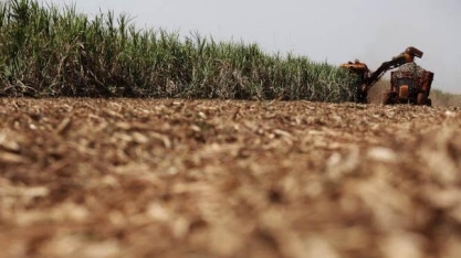 Cana: Moagem acumulada no Centro-Sul cai 26,62% ante 2021/22