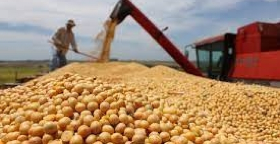 Exportação de soja cai 28% em abril, mas preço alto impulsiona receita