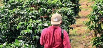 População ocupada no agro no 1º tri atinge nível mais alto desde 2016