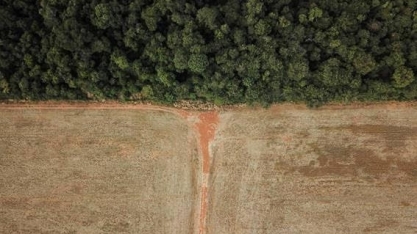 Com 10 anos de Código Florestal, 0,01% dos imóveis rurais  são regularizados