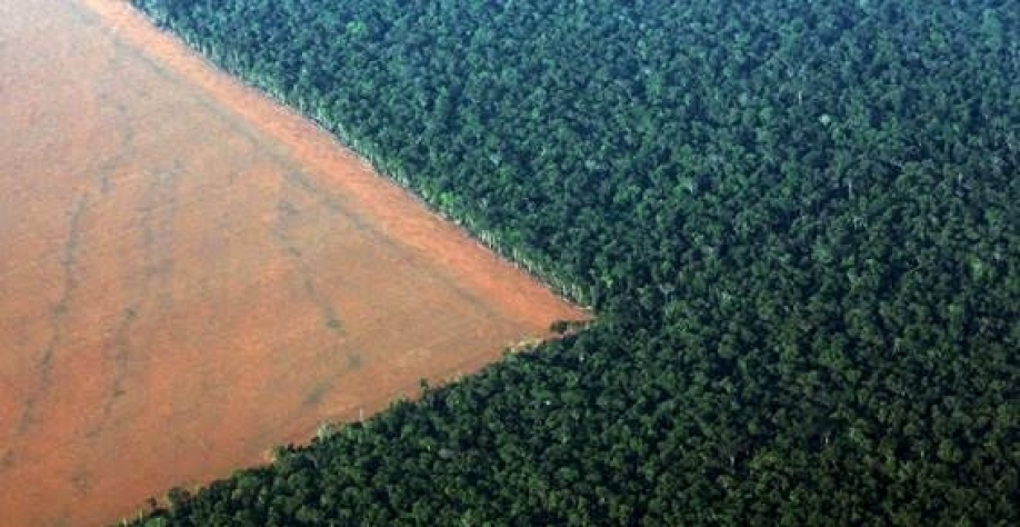 Legenda: Os dados do Inpe de abril mostraram que o desmatamento na floresta amazônica nos primeiros quatro meses deste ano chegou a 1.954 quilômetros quadrados (Imagem: Reuters/Paulo Whitaker)