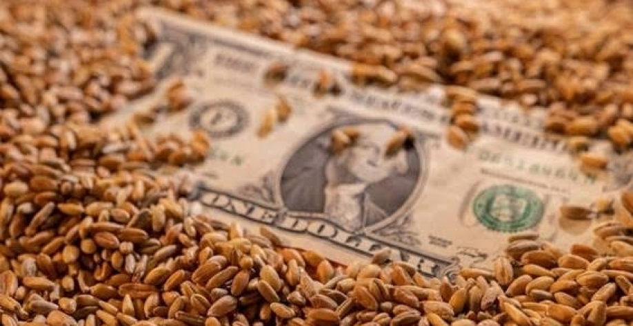 Legenda: Nota de dólar cercada por grãos - Dado Ruvic - 9.mai.2022 Reuters