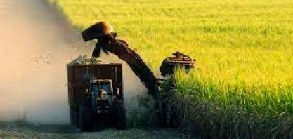 Safra começa com mix mais alcooleiro e produção de açúcar cai 50% em abril 