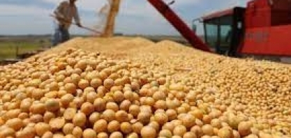 Faturamento com vendas externas do agro inicia 2022 em forte alta