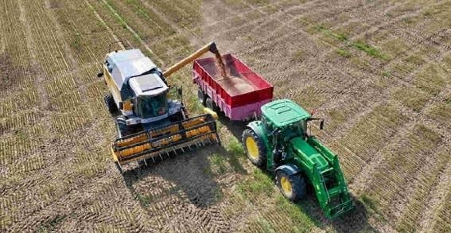 Legenda: Granizo, ventos fortes e chuvas torrenciais causaram danos em quase 65 departamentos da França, afetando trigo, frutas e vinhedos, informou a FNSEA em comunicado (Imagem: Pixabay/reijotelaranta)