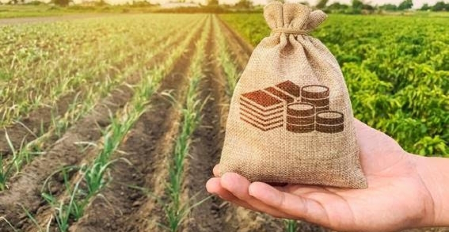 Recurso para Plano Safra cresce, mas abaixo da evolução dos custos