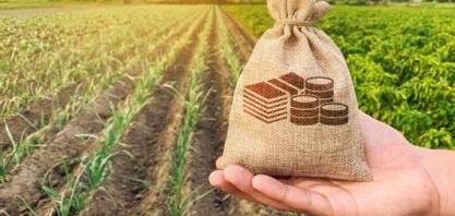 Recurso para Plano Safra cresce, mas abaixo da evolução dos custos