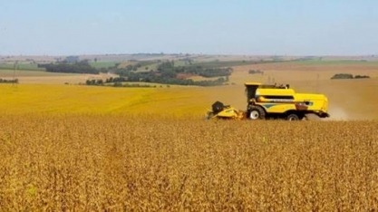 Previsão do Ipea é de estabilidade para setor agropecuário em 2022