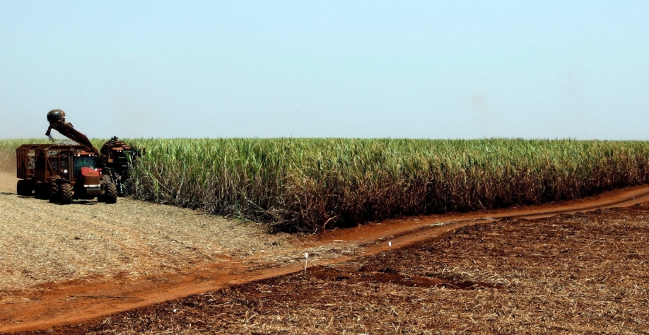 Cana: Moagem acumulada no Centro-Sul cai 17,8% ante 2021/22