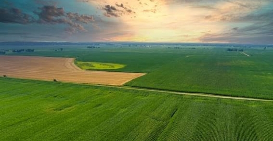 Em ano eleitoral, governo deve lançar Plano Safra recorde