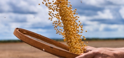 Soja: Análise Conjuntural Agromensal Maio/22 do Cepea/Esalq/USP