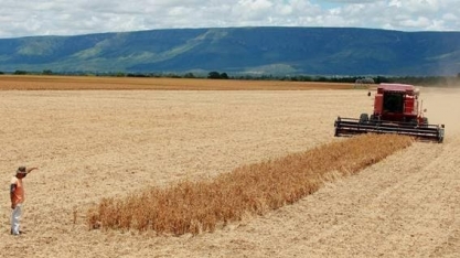 Brasil anuncia adesão a iniciativa de sustentabilidade da OMC