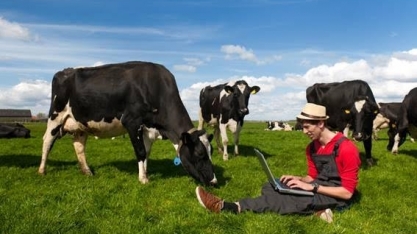 Vacas conectadas: IA e IoT para produzir mais e melhor leite