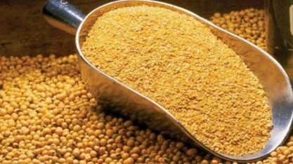 Estoques de farelo de soja da China triplicam e derrubam contratos futuros