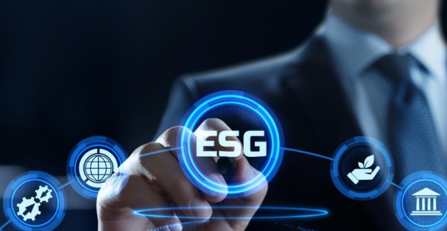 Qual é o significado do ESG para os líderes empresariais?