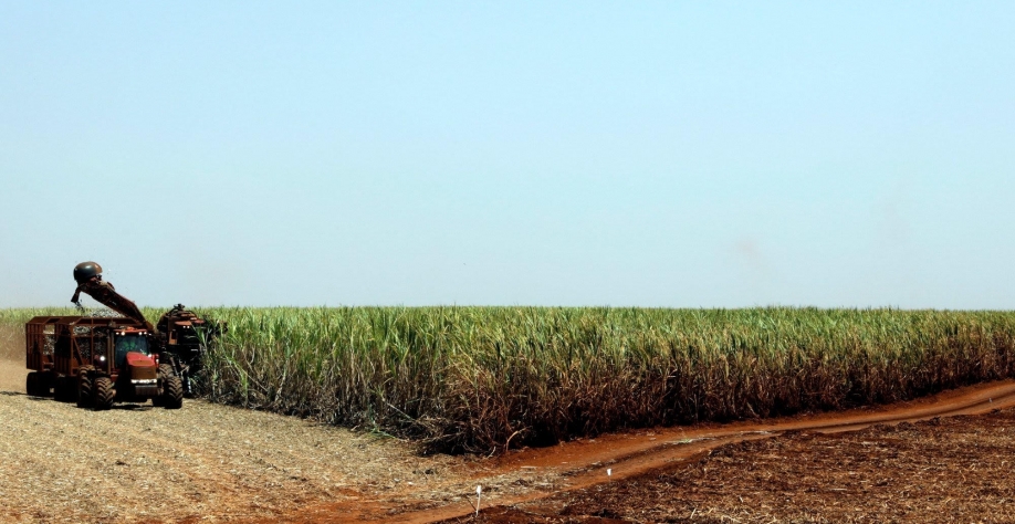 Cana: Moagem acumulada no Centro-Sul cai 12,71% ante safra anterior