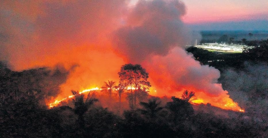 Retomada econômica verde e o papel das empresas
