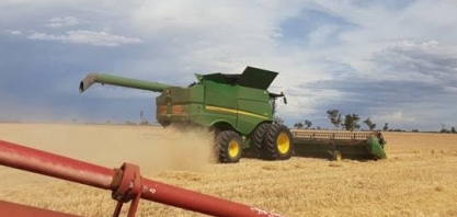 Fiscais agropecuários entram em greve de 2 dias; impacto é limitado