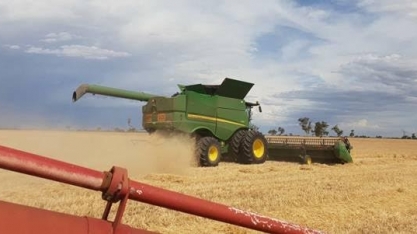 Fiscais agropecuários entram em greve de 2 dias; impacto é limitado