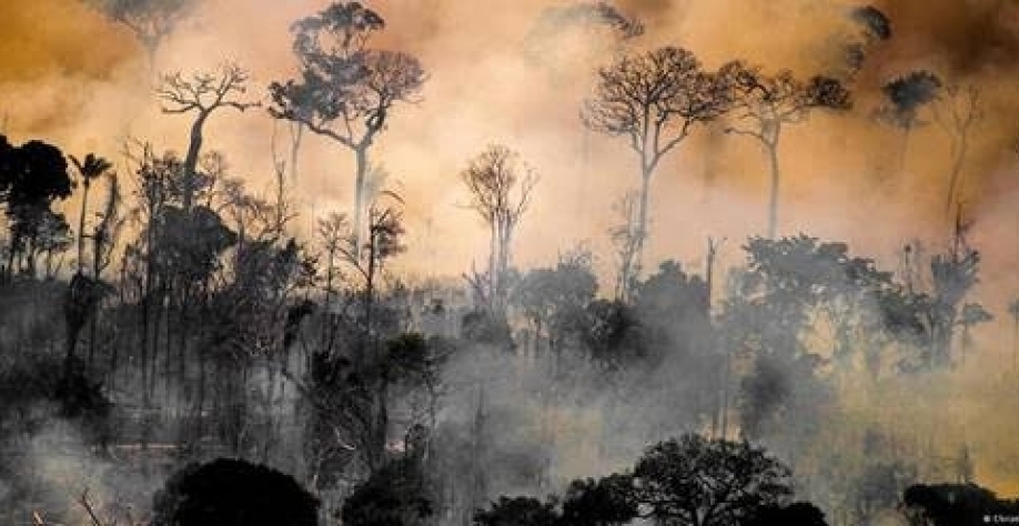 Amazônia tem maior número de incêndios em maio desde 2004