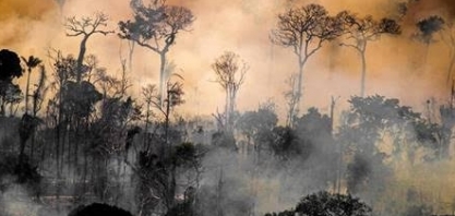 Amazônia tem maior número de incêndios em maio desde 2004