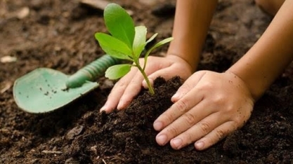Startups mostram inovações em agricultura regenerativa