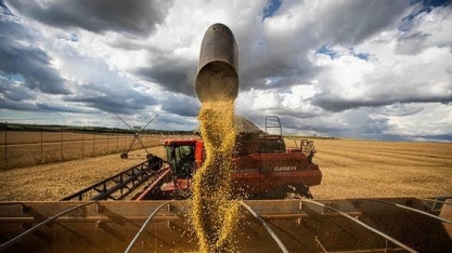  Custo alto derruba PIB do agro e participação do setor na economia cai