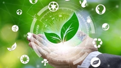 Mercado de carbono: entenda o passo a passo de sua construção