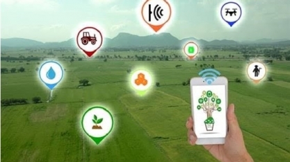 Revolução na fazenda: 5 usos inteligentes para IoT e edge cloud