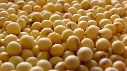 Com R$ 15 bi de exportações em maio, agro bate mais um recorde 