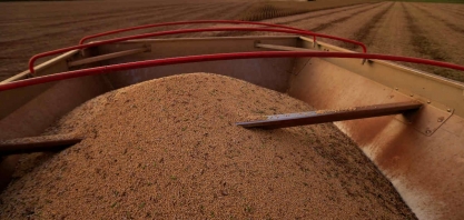 Estimativa para safra 2021/22 indica produção recorde de 271,28 mi de t