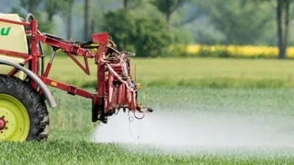 Agrotóxico 2,4-D eleva mortalidade de animais, mostra estudo