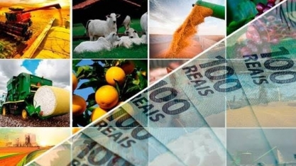 Anúncio do Plano Safra 2022/23 está previsto para próxima 4ª feira (29)