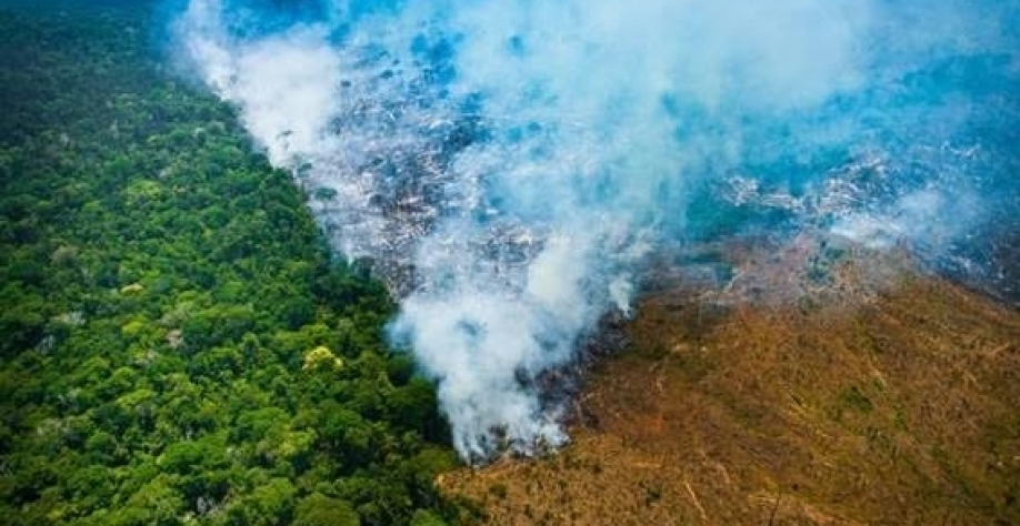  Desmate acelera no Brasil sob receio de maior fiscalização em 2023