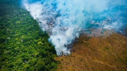  Desmate acelera no Brasil sob receio de maior fiscalização em 2023