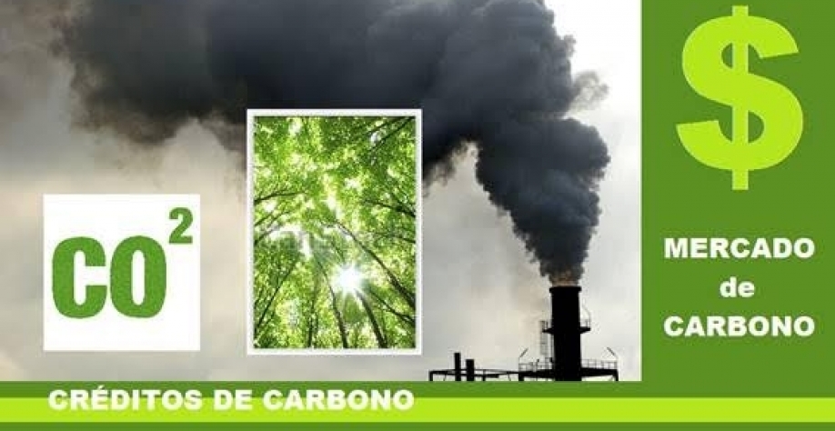 Nem todos os créditos de carbono são iguais; entenda a diferença
