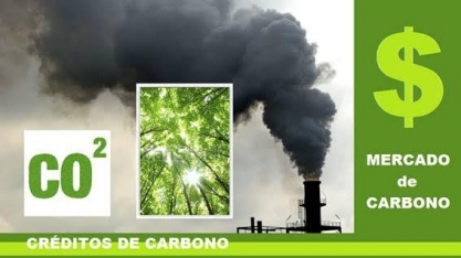 Nem todos os créditos de carbono são iguais; entenda a diferença