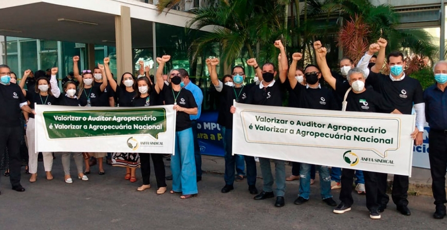 Auditores agropecuários federais param em 14 e 15 de junho foto anffa sindical