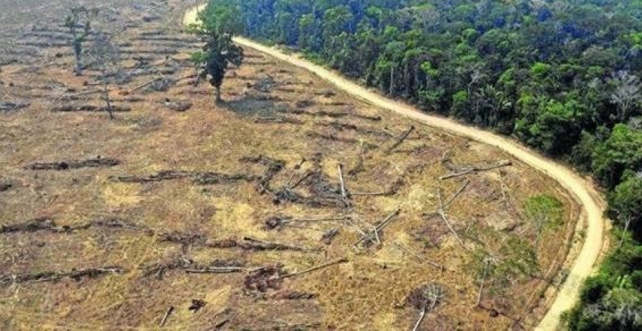 Amazônia registra desmatamento de 2.000 campos de futebol por dia em 2022