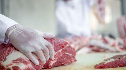  Brasil exporta US$ 6,2 bi em carne bovina no primeiro semestre