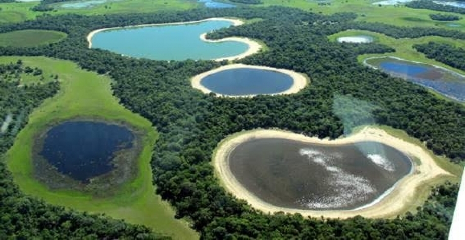 MT aprova flexibilização da atividade agropecuária e do uso de agrotóxicos