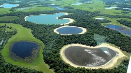 MT aprova flexibilização da atividade agropecuária e do uso de agrotóxicos