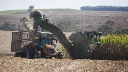 StoneX vê moagem de cana menor no Centro-Sul; corta superávit de açúcar