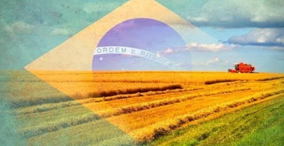 Brasil, supermercado no mundo! – Por Roberto Rodrigues